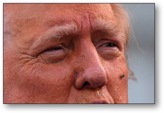 The LOSER!