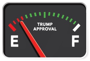 Trump's approval rating!