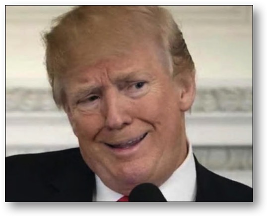 Trump - the malignant narcissist