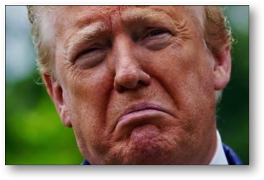 Trump, the twice-impeached LOSER!