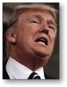 Trump, the incompetent FELON!