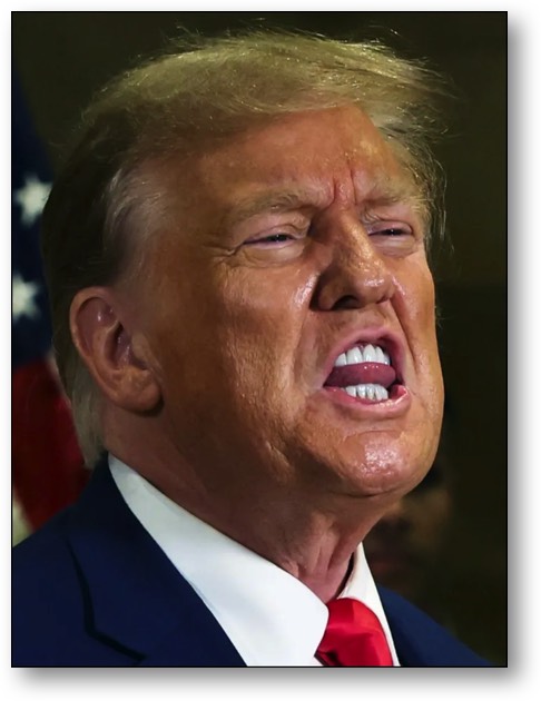 Trump cannot be trusted. He's an incessant LIAR!