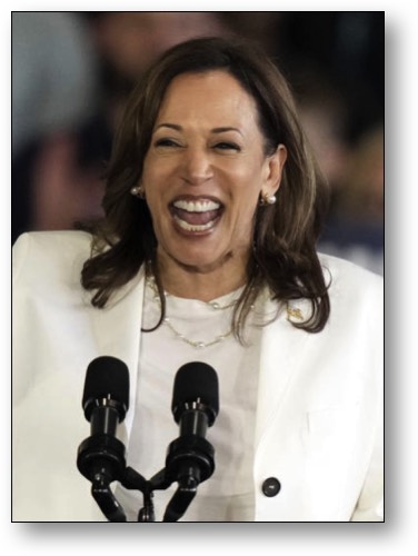 Vice President Kamala Harris
