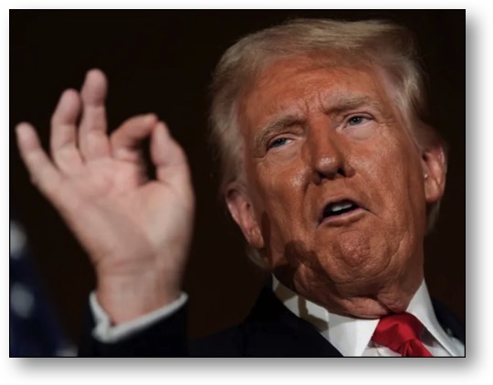 Trump, the FLIP-FLOP FELON!