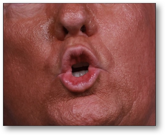 Trump, the LYING PIG!