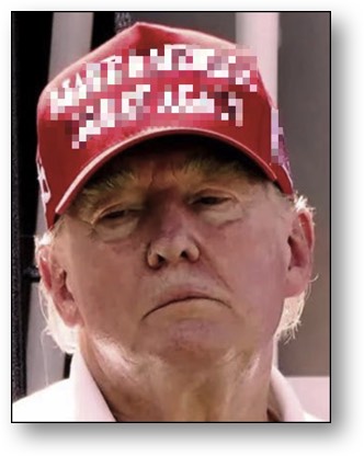 Trump, the CONVICTED FELON!