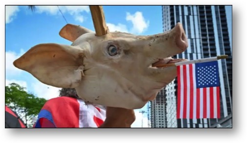 Trump, the FERAL PIG!