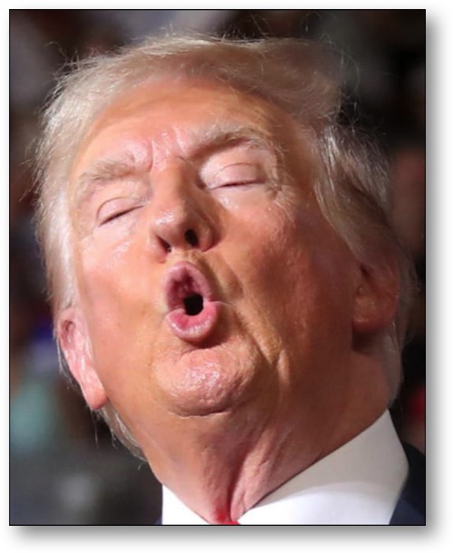 Trump: UNFIT for any office!