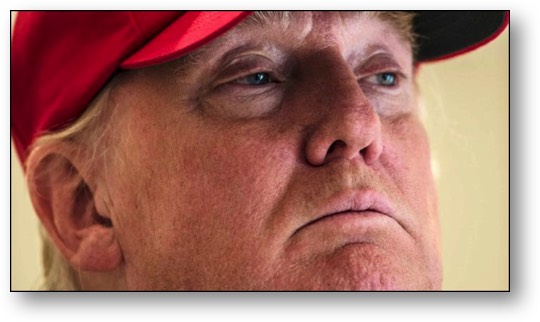 Trump, the TRAITOROUS PIG!