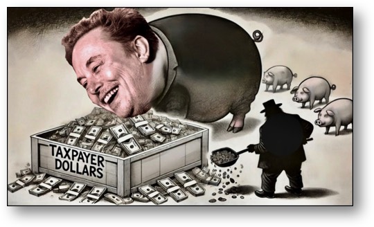 Whiny Afrikaner fascist Elon Musk