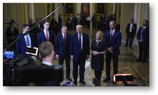 Trump, the worthless, convicted FELON!