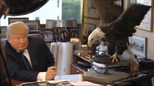 Trump_Eagle