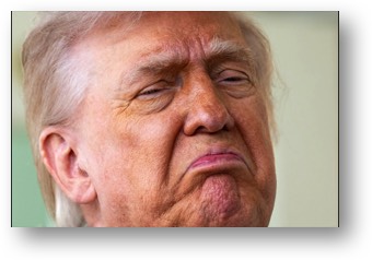 The cognitively failing lunatic