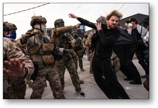 Get the ICE Pigs off the streets of America!