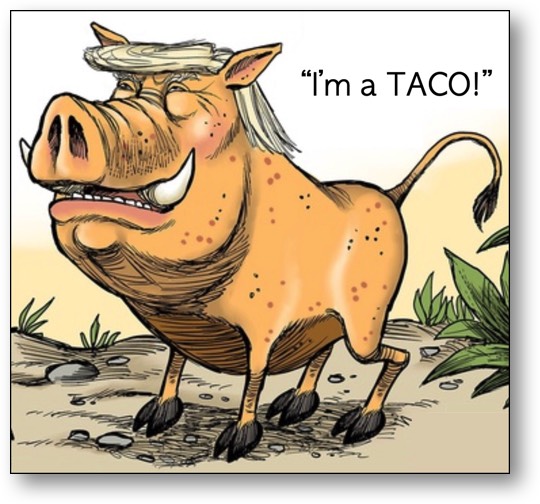 Trump, the TACO!