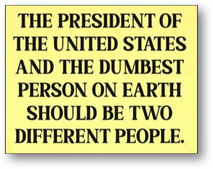 Trump = dumb, dumber, dumbest!