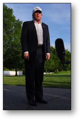 "Stands Like A Dunce" Trump