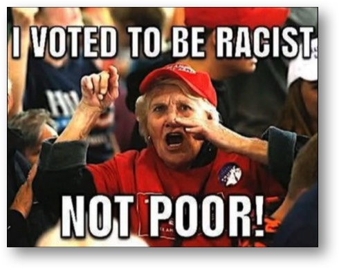 An ignorant MAGA Maggot!
