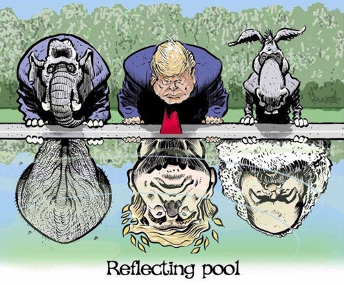 Trump, the "pool boy"