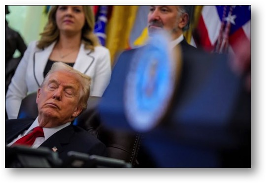 Dementia Donnie, hard at work on the job!