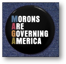 Morons Are Governing America